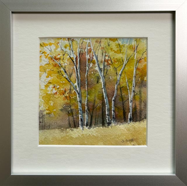 Birches #46