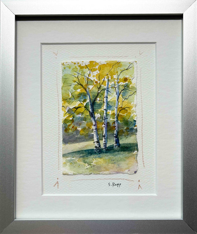 Birches Framed Card #5