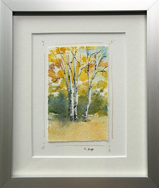 Birches Framed Card #10