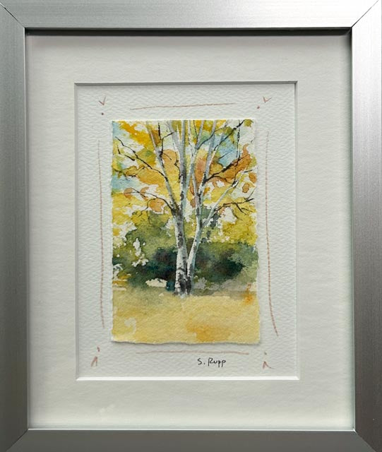 Birches Framed Card #9