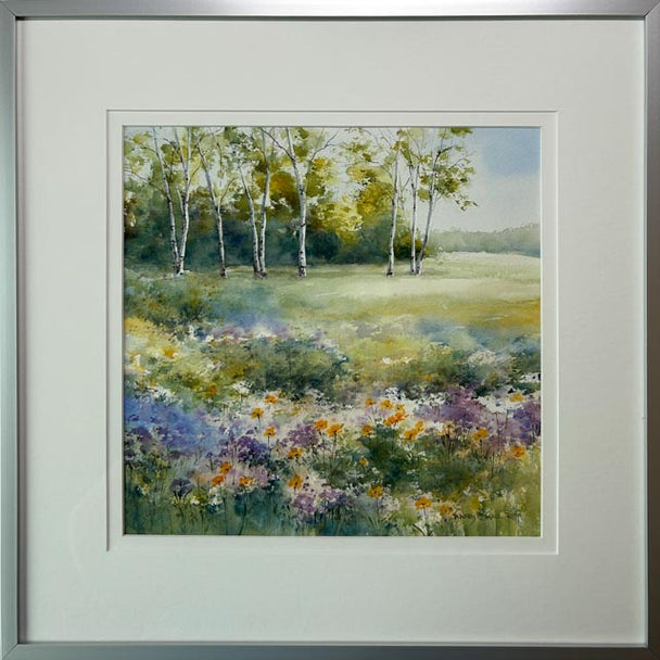 Birches In The Meadow
