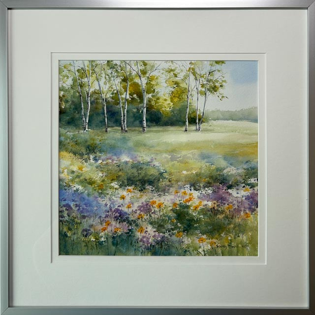 Birches In The Meadow