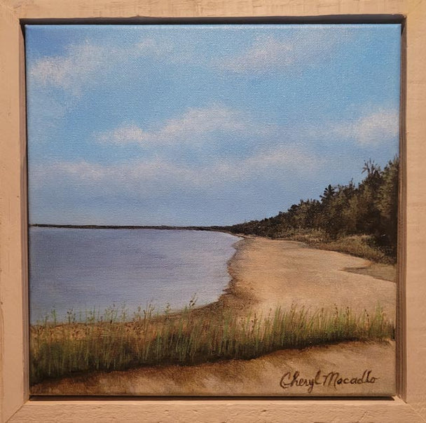 The Beach of Whitefish Dunes