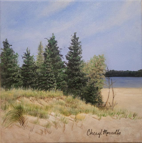 Whitefish Dune Shoreline