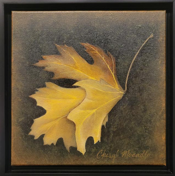 Fallen Maple Leaf