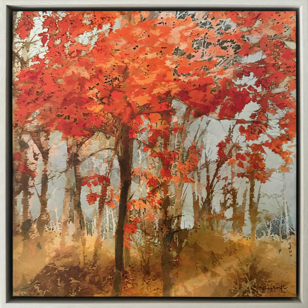 Crimson Canopy