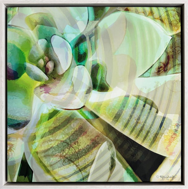 Joy-Go-Around 1