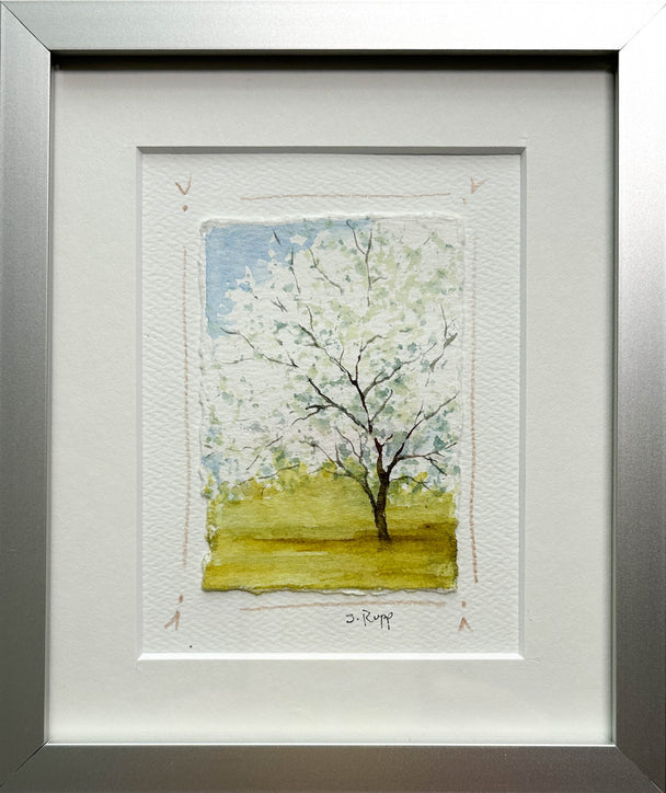 Cherry Blossom Tree Framed Card #4