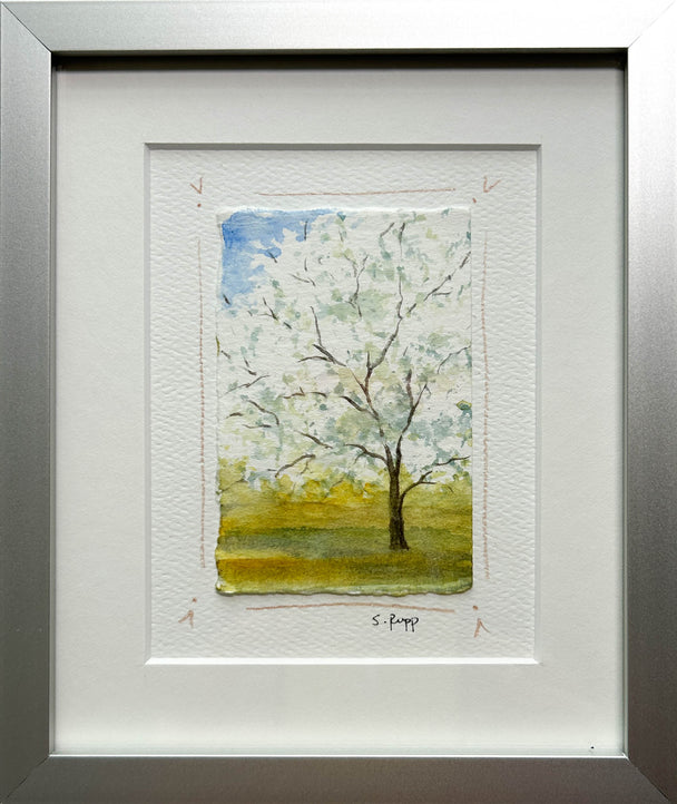 Cherry Blossom Tree Framed Card #5