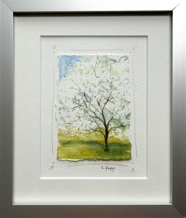 Cherry Blossom Tree Framed Card #6