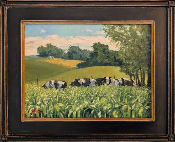 Cows in Corn