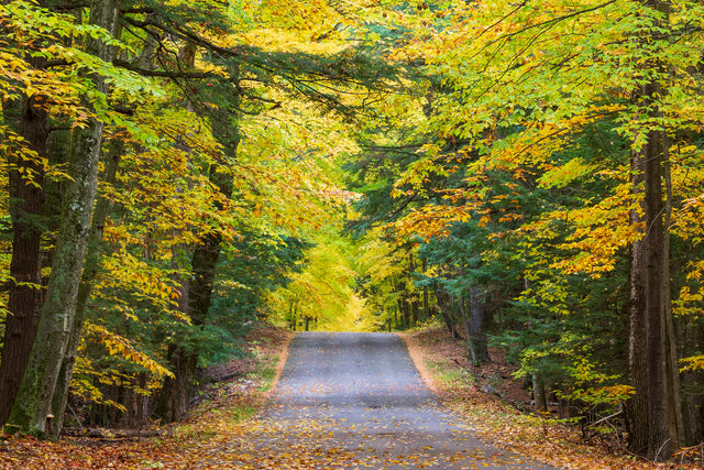 Fall in Peninsula