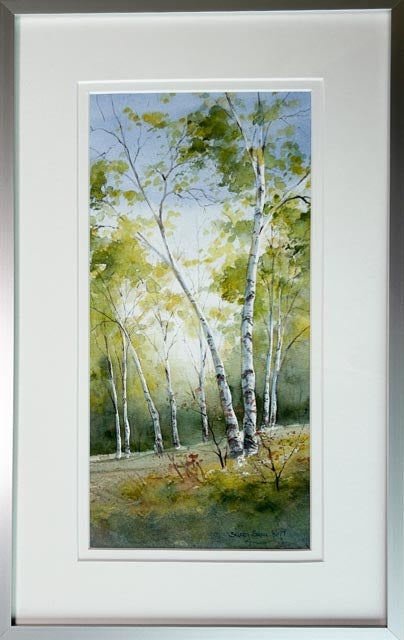 Forest Birches