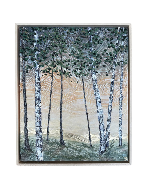 Forest Of Light
