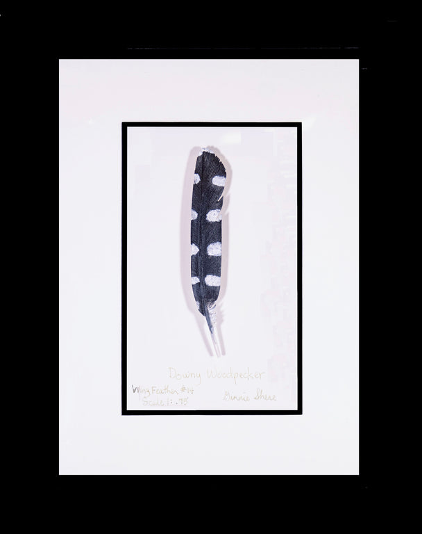 Downy Woodpecker Wing Feather Carving