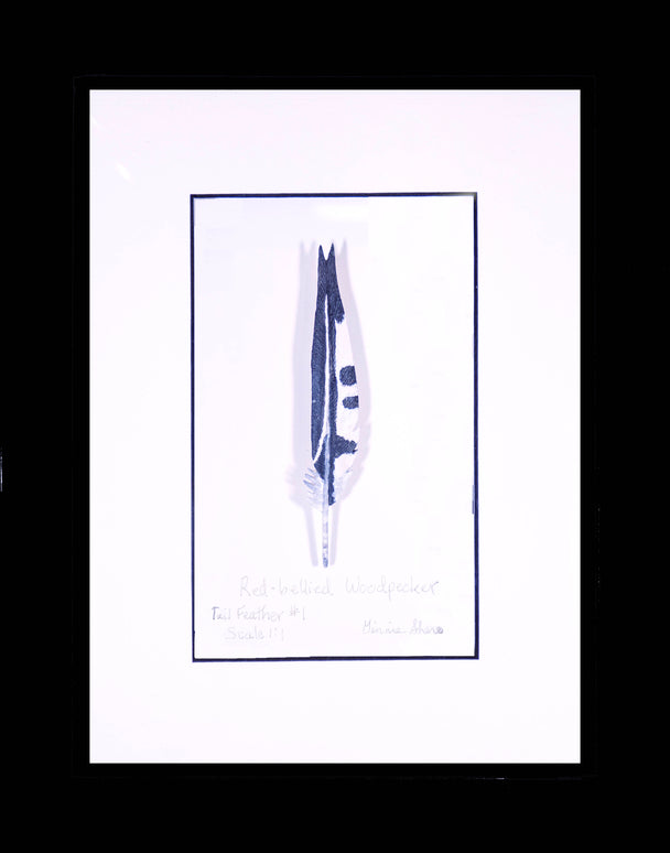 Red-Bellied Woodpecker Tail Feather Carving