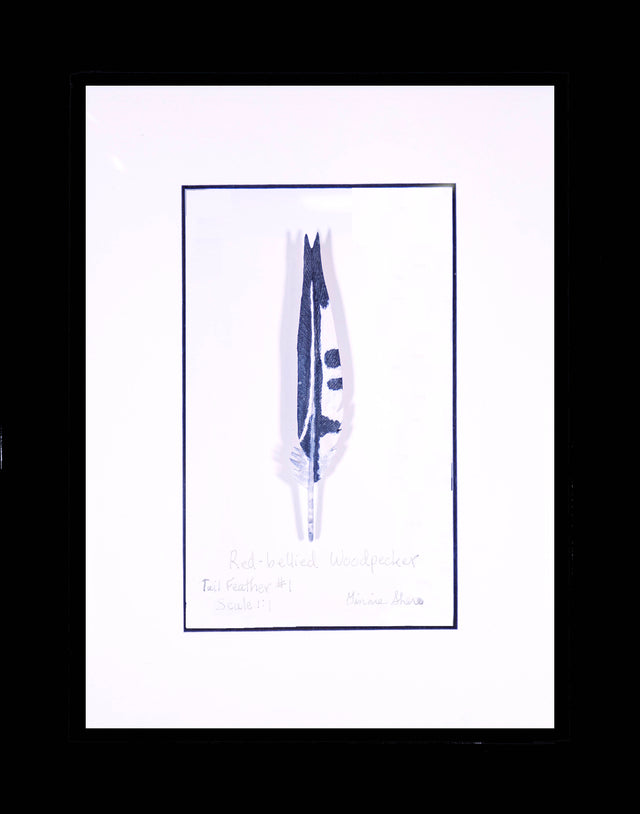 Red-Bellied Woodpecker Tail Feather Carving