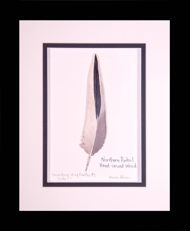 Northern Pintail Secondary Wing Feather Carving