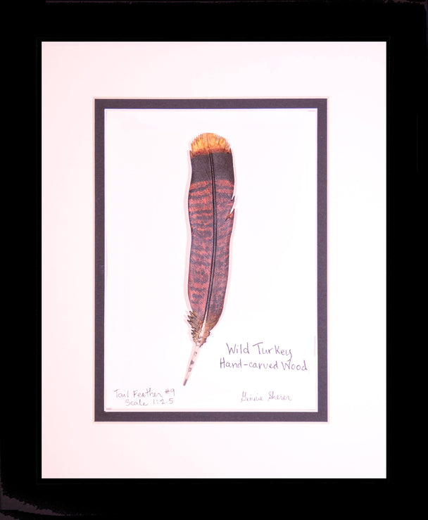 Wild Turkey Tail Feather Carving