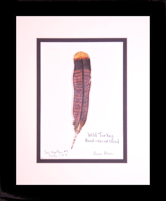 Wild Turkey Tail Feather Carving