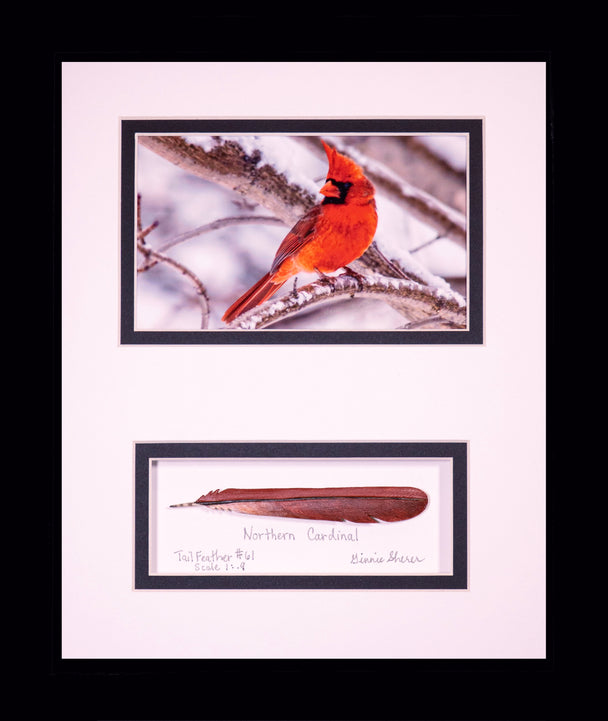 Crimson and Snow