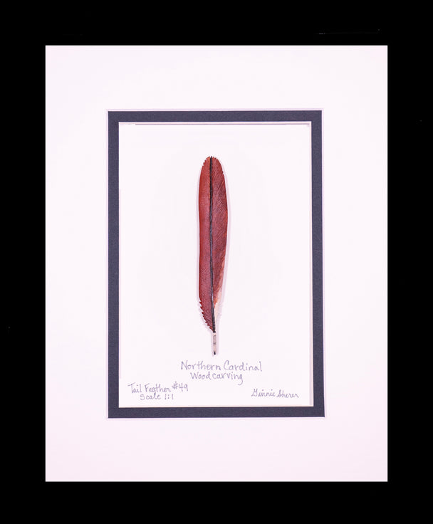 Northern Cardinal Tail Feather Carving