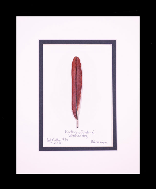 Northern Cardinal Tail Feather Carving