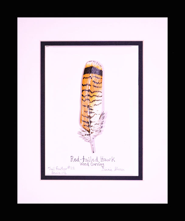Red-Tailed Hawk Wing Feather Carving