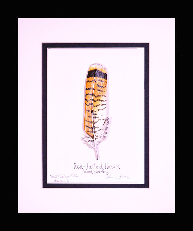 Red-Tailed Hawk Wing Feather Carving