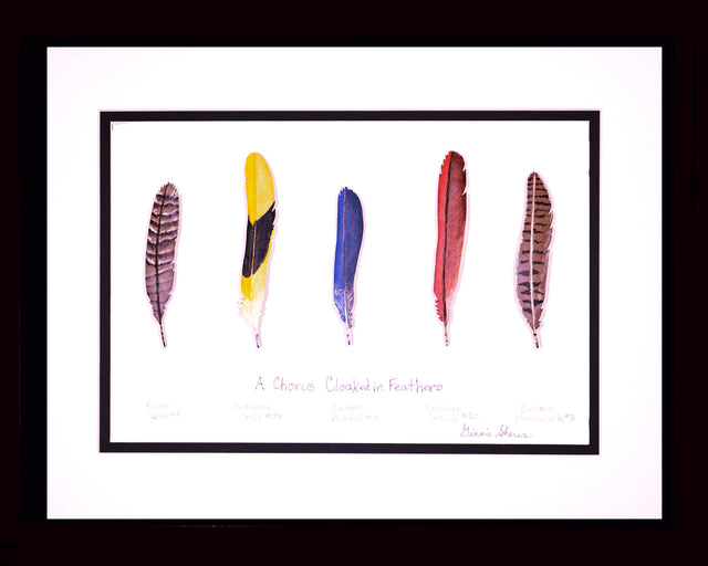 A Chorus Cloaked in Feathers
