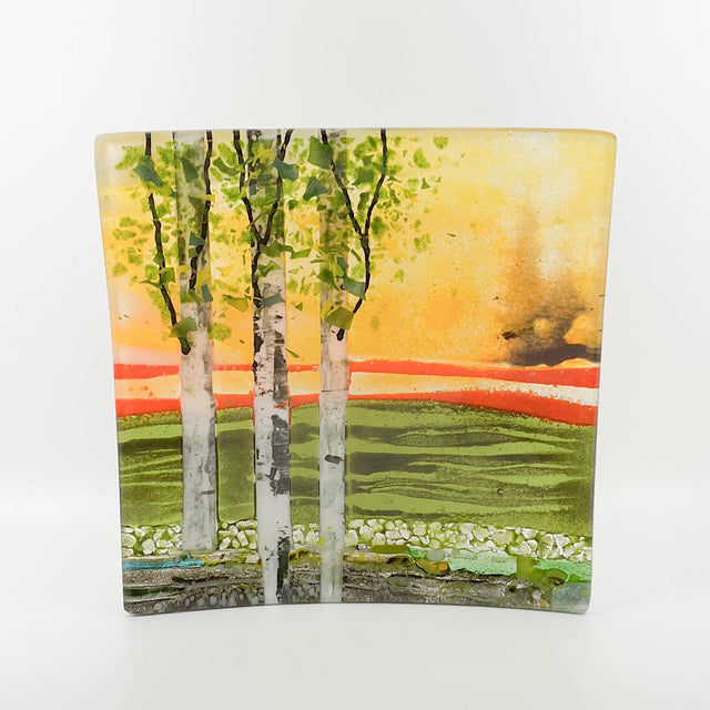 Sunset Triple Birch Tree Square Plate