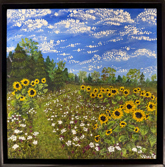 Sunny Field