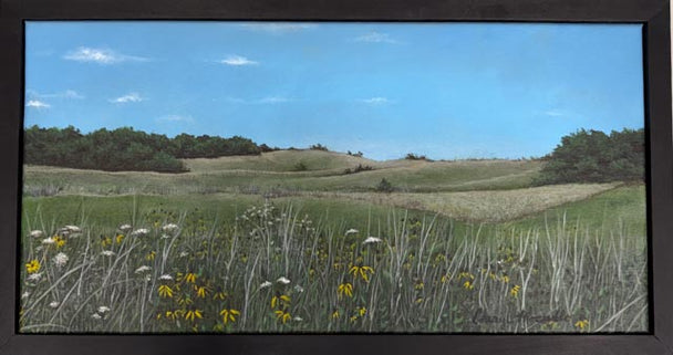 A Patch of Wildflowers
