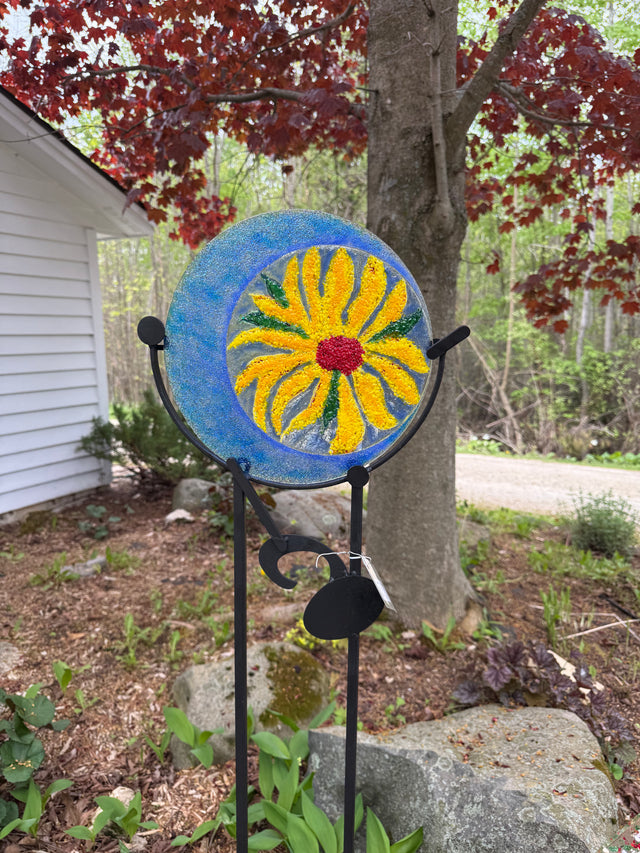 Yellow Flower Framed in Blue