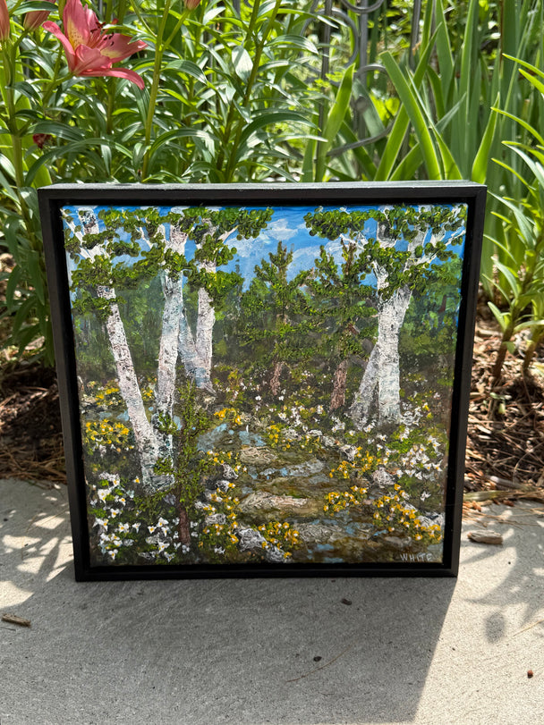 Spring Forest