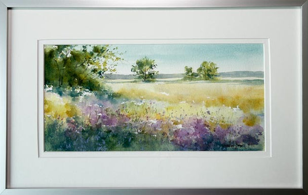 Knapweed and Lace II