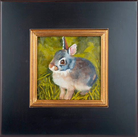 Flopsy