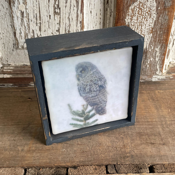 Great Grey Owl Charcol