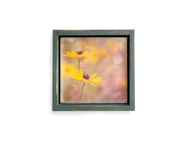 Black Eyed Susans