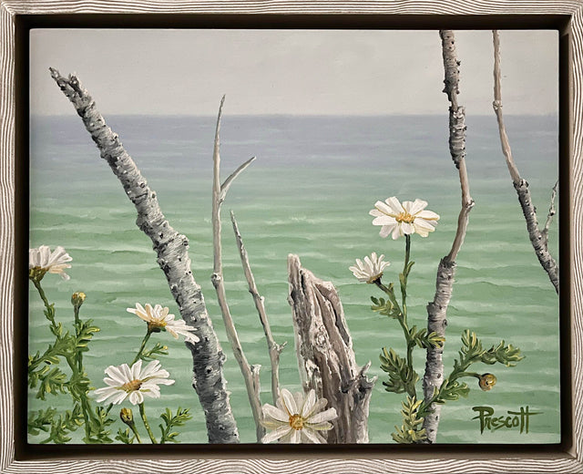 Driftwood and Daisies