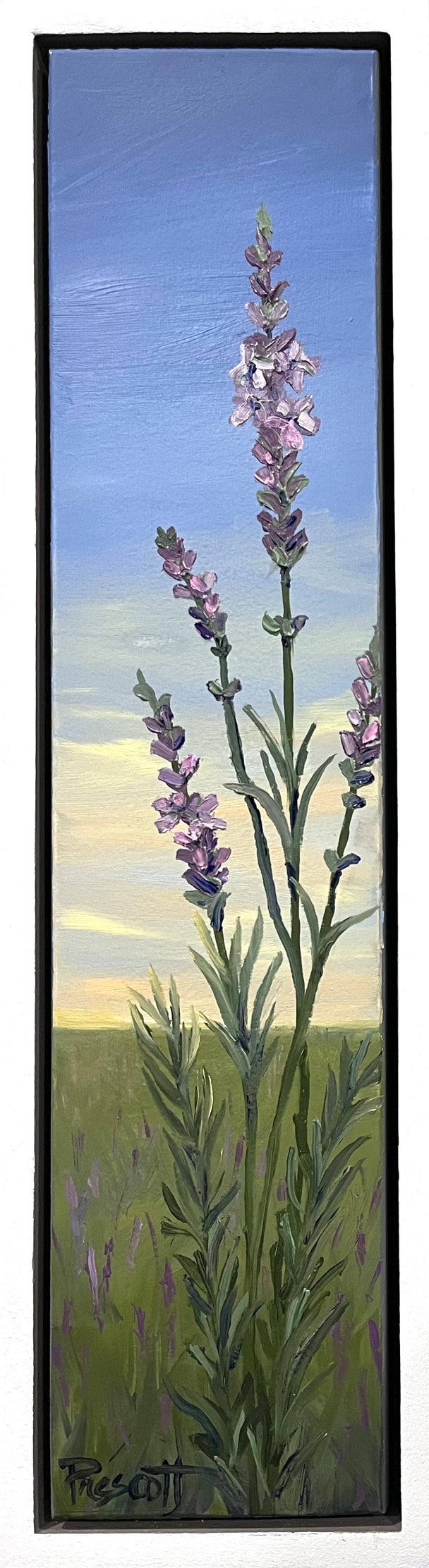 Lavender Calm