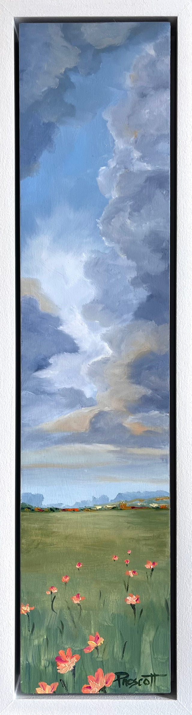 Creative Clouds IV