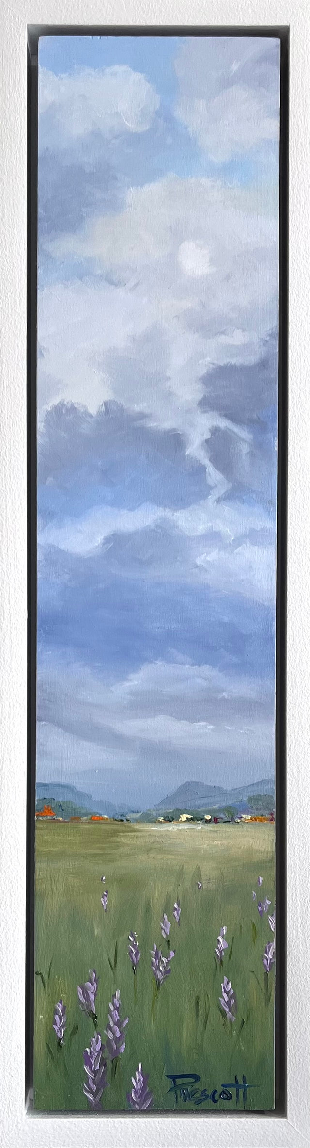 Creative Clouds V