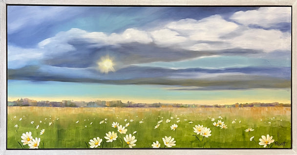 Daisies' Delight