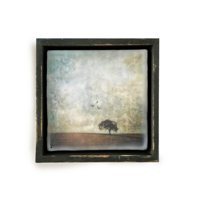 Open Spaces
