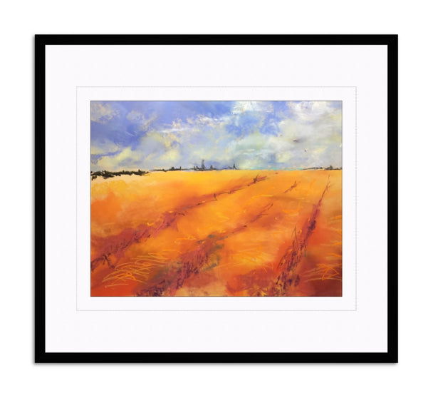 Peace in the Fields
