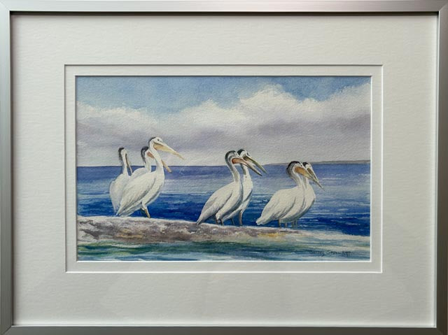 Pelicans of Door County