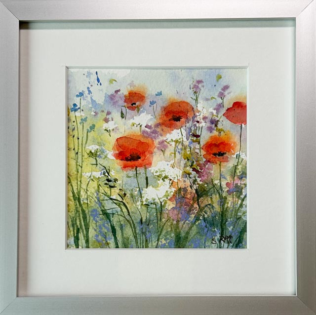Poppy Love II