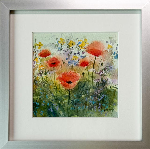 Poppy Love IV