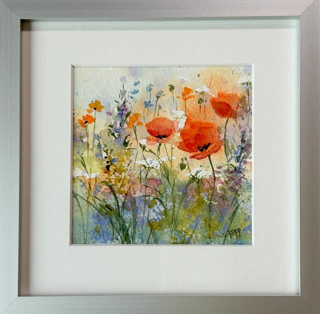 Poppy Love V